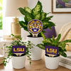 Louisiana State University