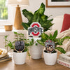 Ohio State University, The