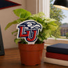 Liberty University