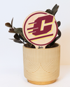 Central Michigan, University of