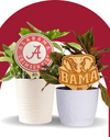 Alabama, University of