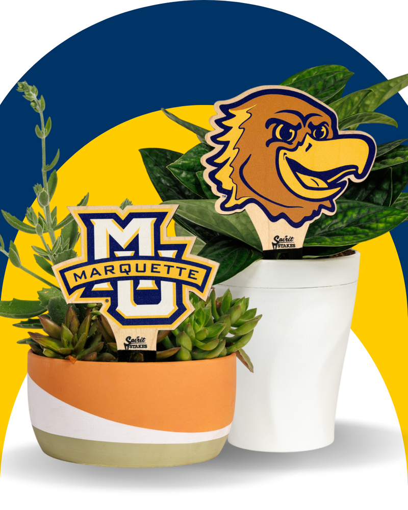 Marquette University