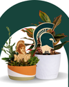 Michigan State University