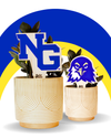 North Georgia, University of