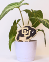 Colorado, University of