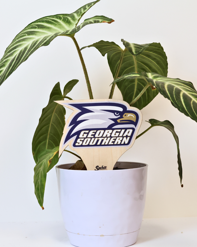 Georgia Southern University