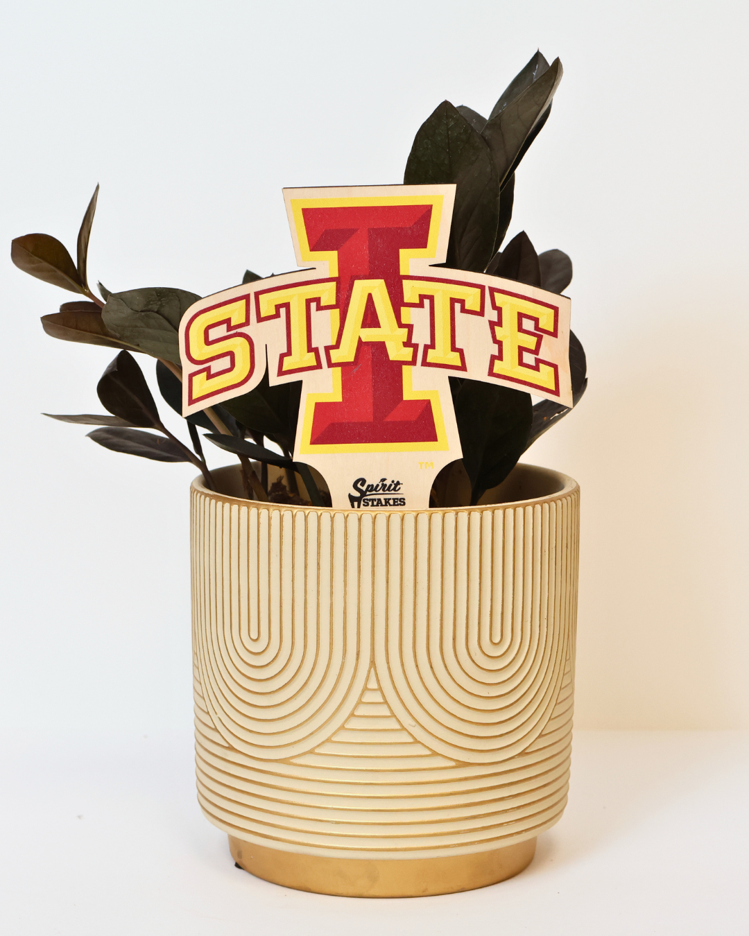 Iowa State University – Spirit Stakes