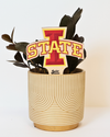 Iowa State University