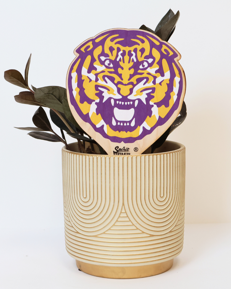 Louisiana State University