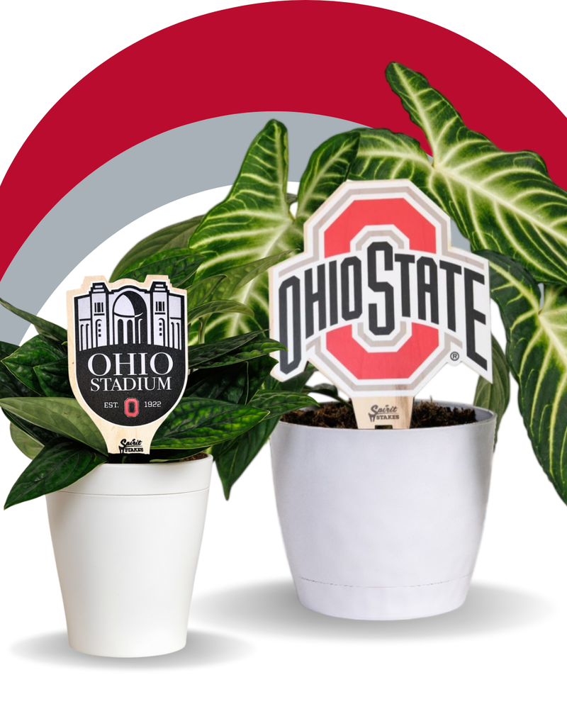 Ohio State University, The