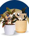Georgia Tech