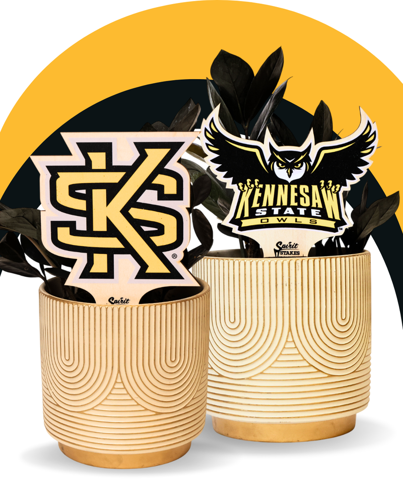 Kennesaw State University