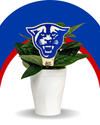 Georgia State University