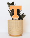 Tennessee, University of