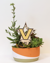 Vanderbilt University