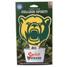 Baylor Bear Color Plant Stake