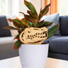 University of Florida Gator Head Natural Wood Plant Stake