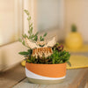 Kennesaw State University Owl Natural Wood Plant Stake
