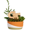 Georgia Tech GT Natural Wood Plant Stake