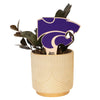 Kansas State Wildcat Head Color Plant Stake