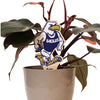 Georgia Southern Strutting Gus Color Plant Stake