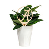 University of Alabama Natural Wood Plant Stake
