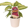 Virginia Tech Hokie Head Color Plant Stake