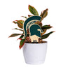 Michigan State Spartan Helmet Color Plant Stake