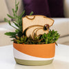 Kansas State Wildcat Head Natural Wood Plant Stake