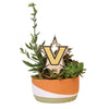 Vanderbilt Star V Color Plant Stake