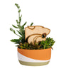 Kansas State Wildcat Head Natural Wood Plant Stake