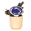 Penn State Nittany Lion Color Plant Stake