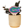 University of Florida Gator Head Color Plant Stake