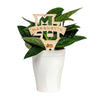 Marquette University Natural Wood Plant Stake