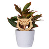 Kennesaw State University Owl Head Natural Wood Plant Stake