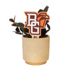 Bowling Green Falcon Color Plant Stake