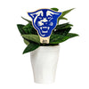 Georgia State University Panther Color Plant Stake