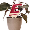 Eastern Kentucky Power E Color Plant Stake