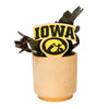 Iowa Logo Color Plant Stake