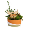Kennesaw State University Owl Natural Wood Plant Stake