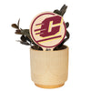 Central Michigan Action C Color Plant Stake