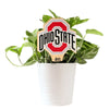 The Ohio State University Color Plant Stake