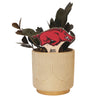 University of Arkansas Running Razorback Color Plant Stake