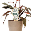 Ohio University Rufus Color Plant Stake