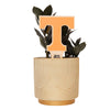 Tennessee Power T Color Plant Stake