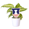 University of Illinois Victory Badge Color Plant Stake