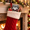 University of Georgia Bulldog Acrylic Decorative Stake