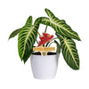 Iowa State Cyclones Color Plant Stake