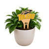 Toledo University Color Plant Stake