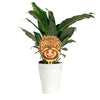 The Ohio State University Baby Brutus Natural Wood Plant Stake